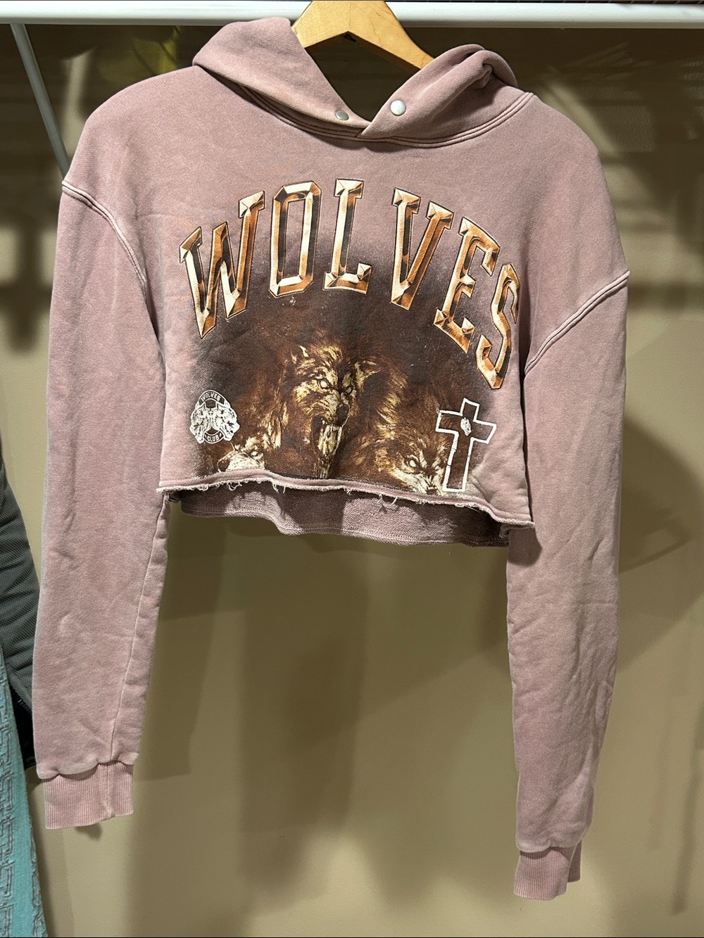 Darc sport wolves club Cropped Wolves Graphic Hoodie — Dusty Rose
